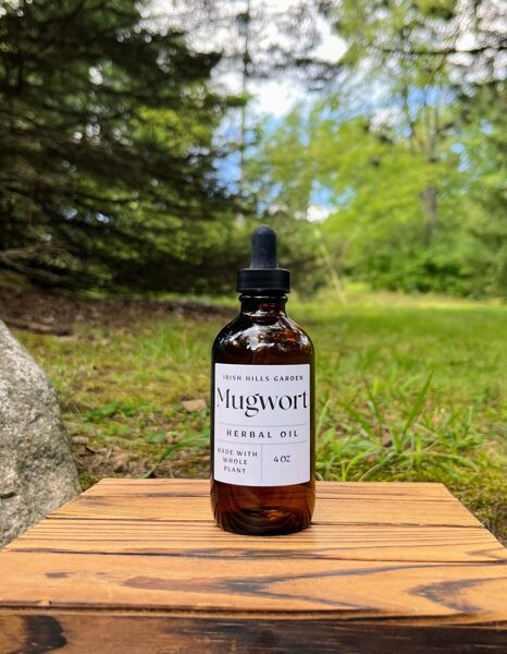 4 oz Mugwort Oil